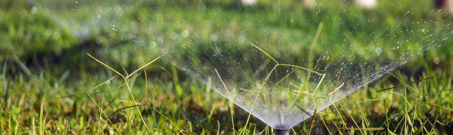 East Valley Expert Sprinkler & Outdoor Systems Services